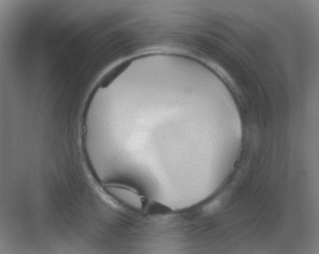 X0000081300854200702082042