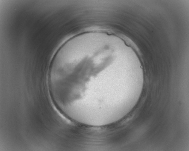 X0000081300855200702082042