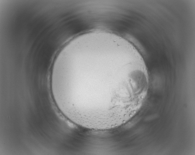 X0000081300856200702082042