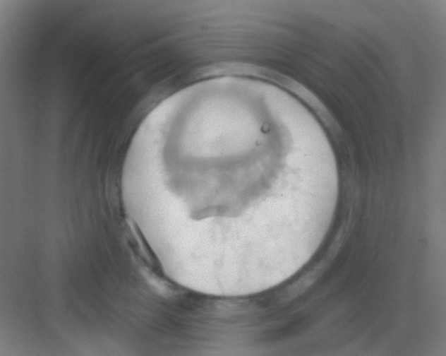 X0000081300857200702082042