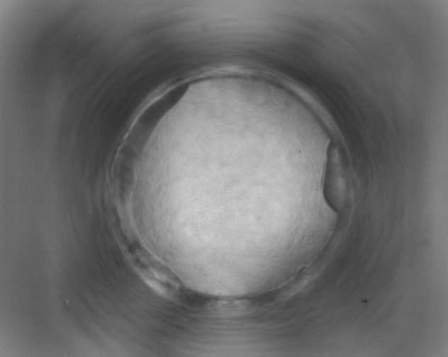 X0000081300858200702082042