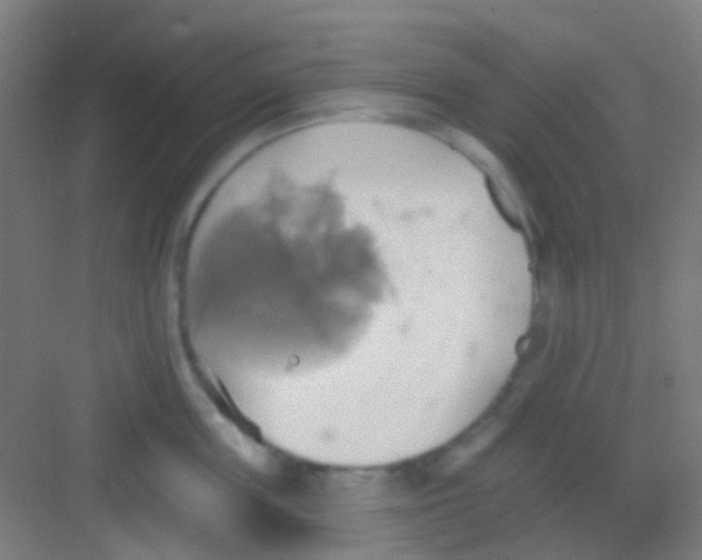 X0000081300859200702082042