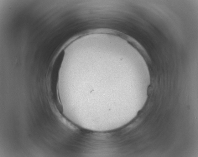 X0000081300860200702082043