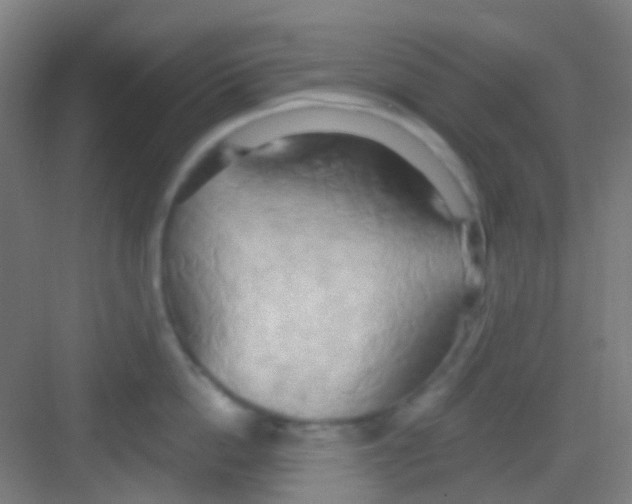 X0000081300862200702082043