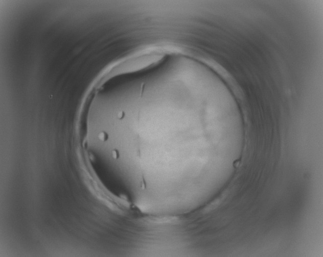 X0000081300864200702082043