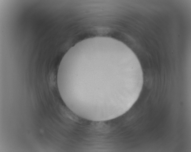 X0000081300866200702082042