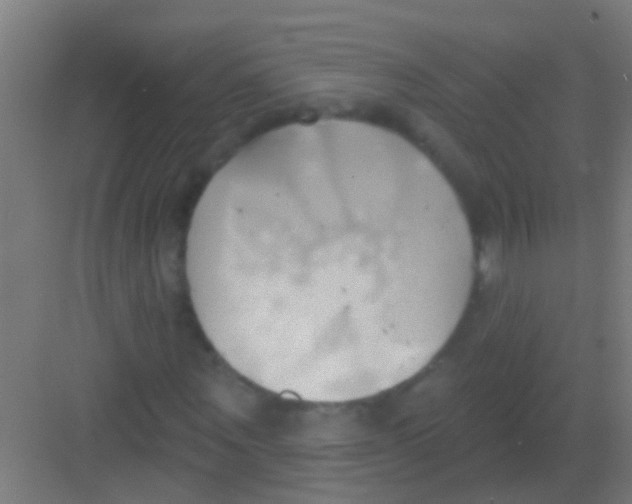 X0000081300867200702082042