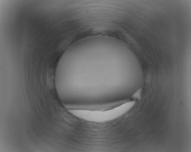 X0000081300868200702082042