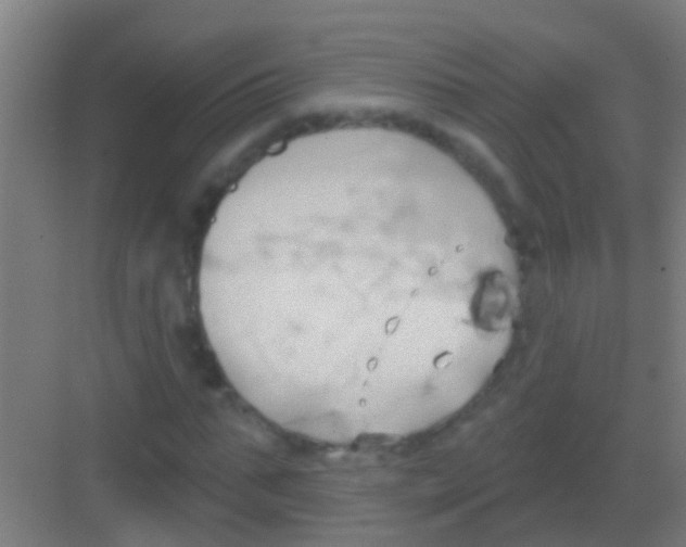 X0000081300871200702082042