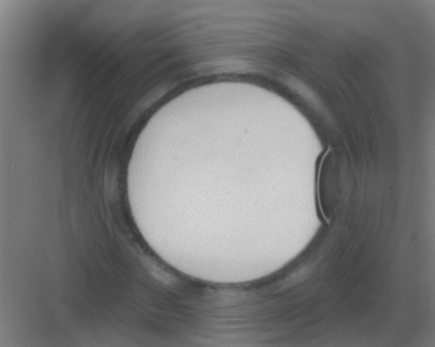 X0000081300873200702082042