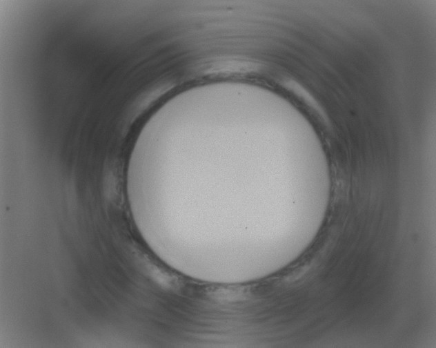 X0000081300874200702082042