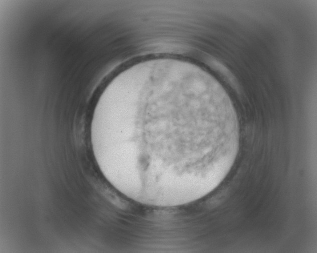 X0000081300875200702082042