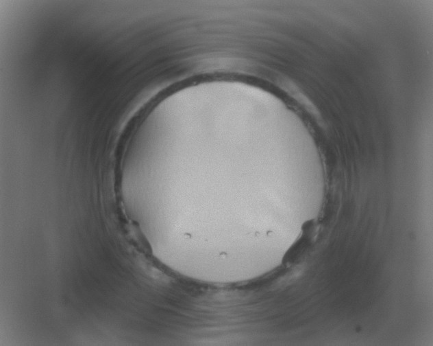 X0000081300877200702082042