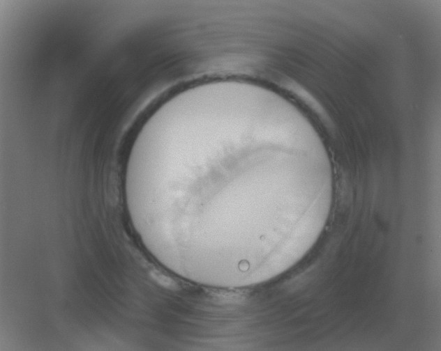 X0000081300878200702082042