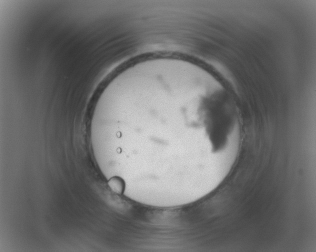 X0000081300879200702082042