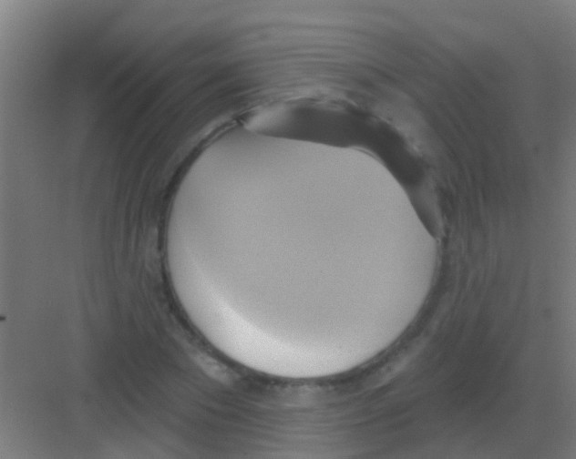 X0000081300881200702082042