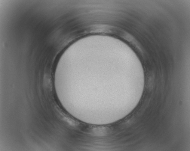 X0000081300882200702082041