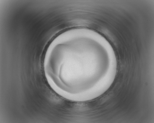 X0000081300883200702082041