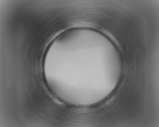 X0000081300885200702082041