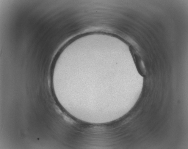 X0000081300888200702082041