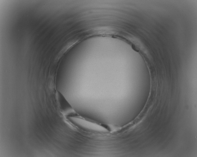 X0000081300889200702082041