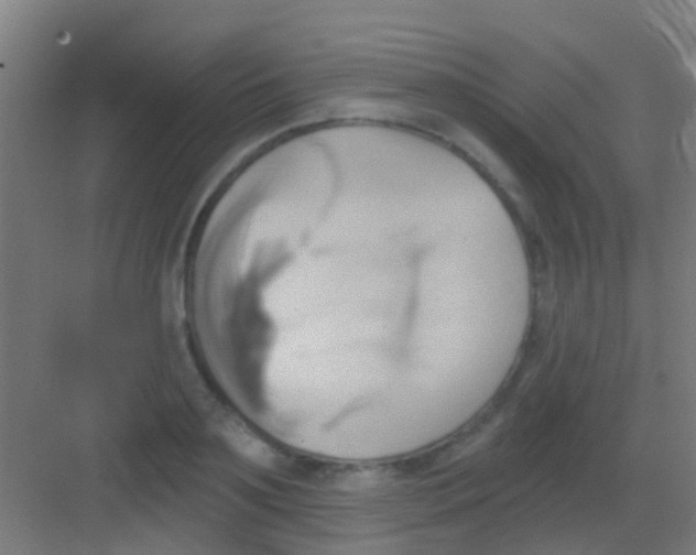 X0000081300891200702082041