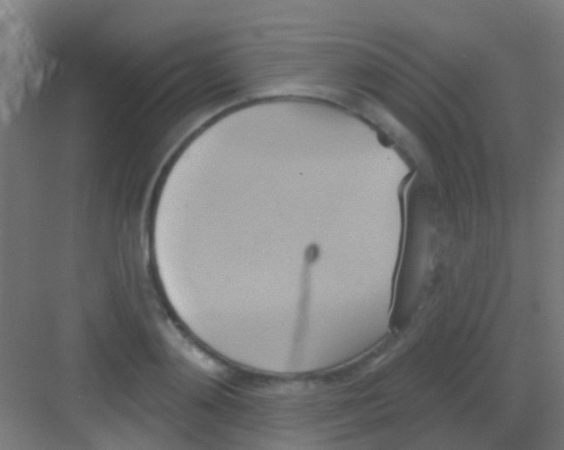 X0000081300892200702082041