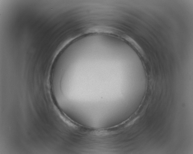 X0000081300893200702082041