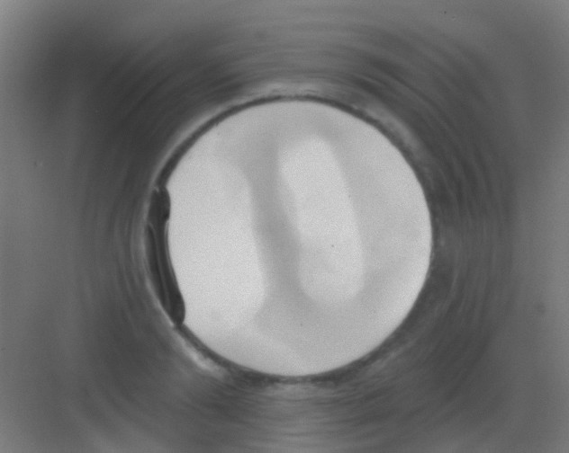 X0000081300894200702082041