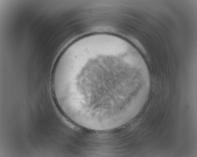 X0000081300895200702082041