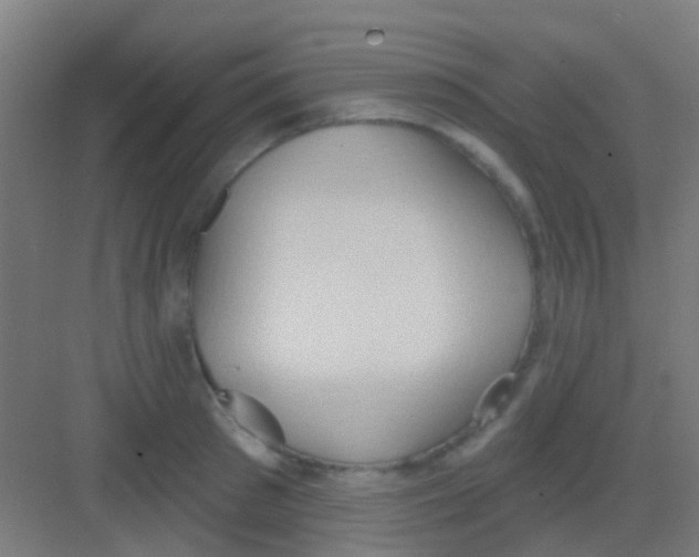 X0000081300897200702082041