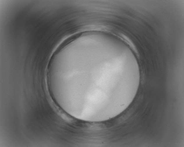 X0000081300899200702082041