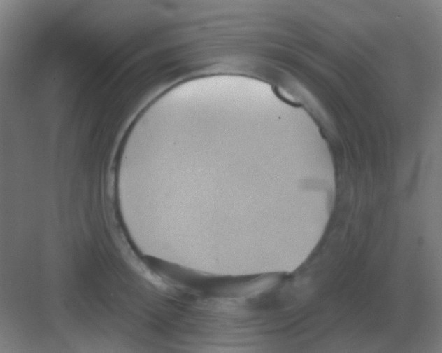 X0000081300900200702082041