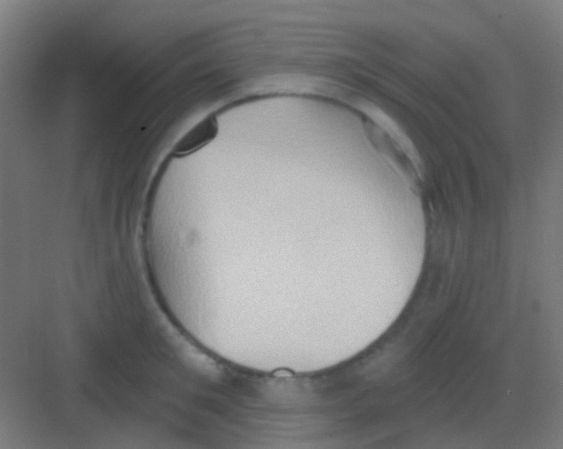 X0000081300901200702082041