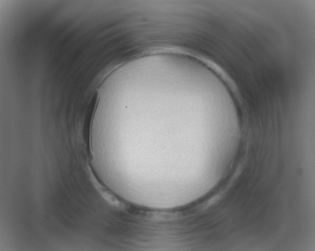 X0000081300905200702082041