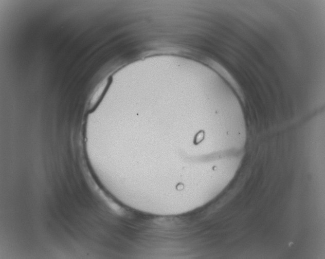 X0000081300906200702082041