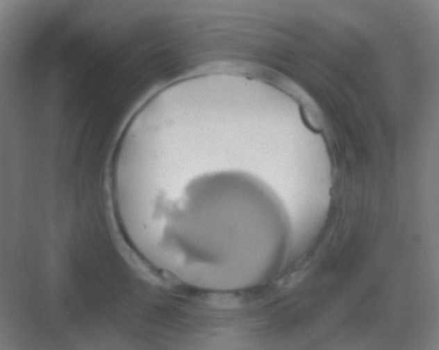 X0000081300907200702082041