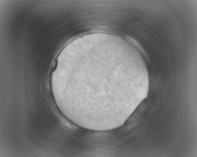 X0000081300908200702082041