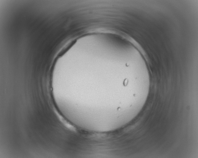 X0000081300909200702082041