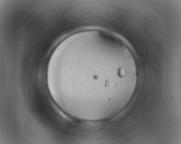 X0000081300910200702082041