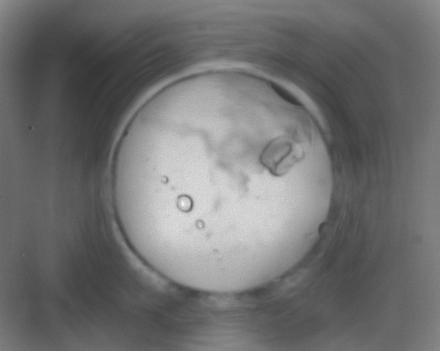 X0000081300911200702082041