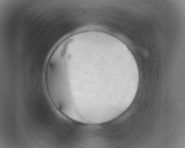 X0000081300912200702082041