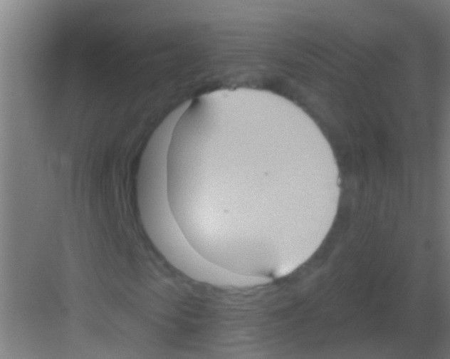 X0000081300913200702082040