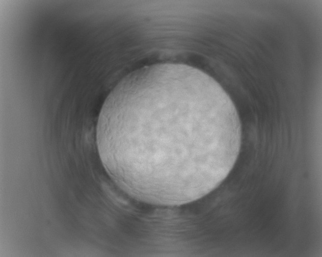 X0000081300914200702082040