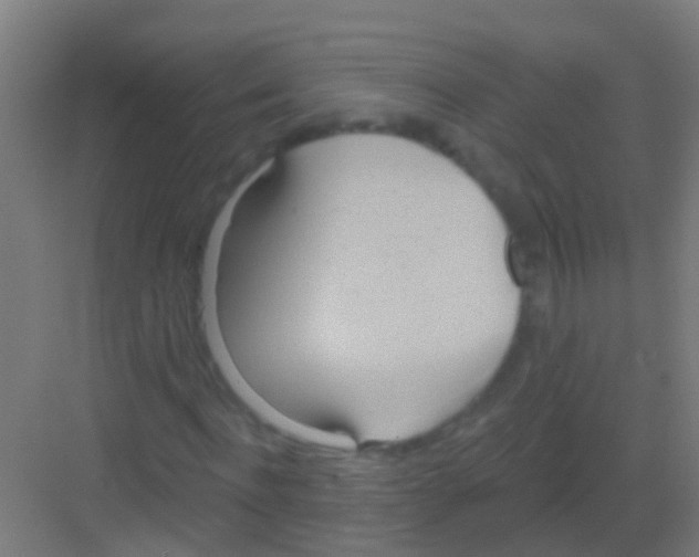 X0000081300916200702082040