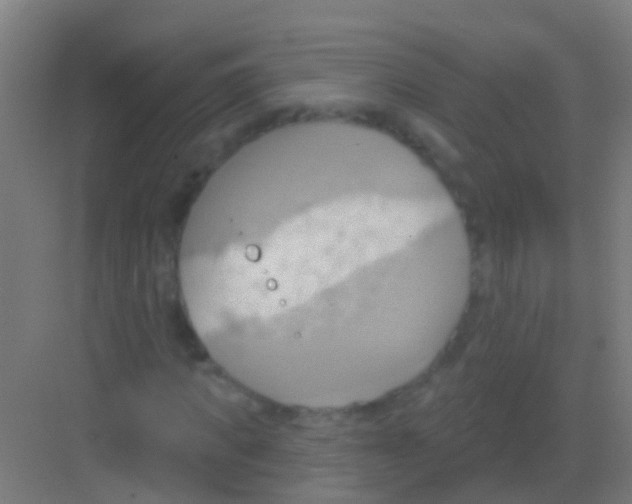 X0000081300917200702082040