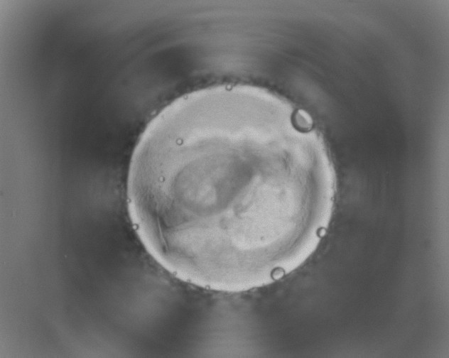 X0000081300918200702082040