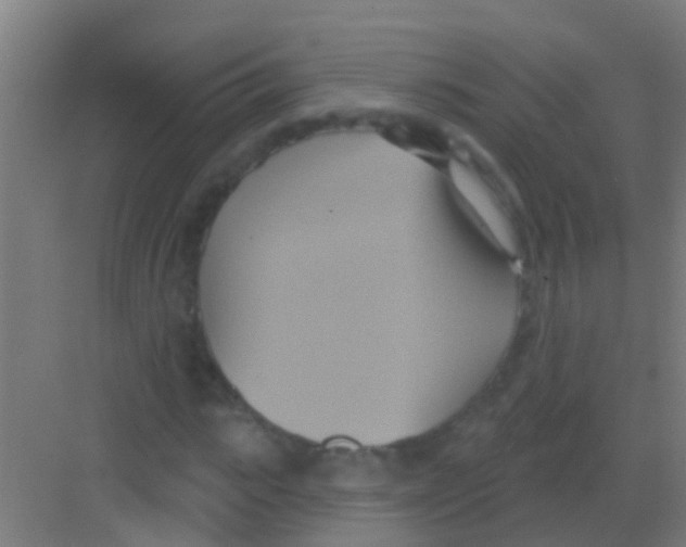 X0000081300919200702082040