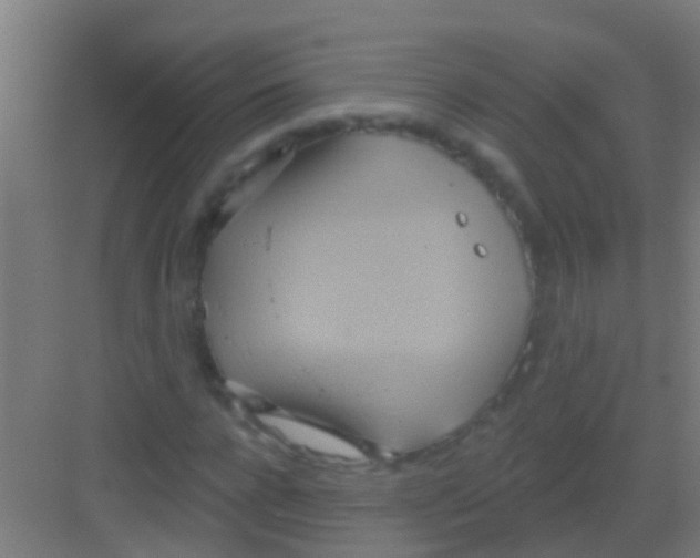 X0000081300920200702082040