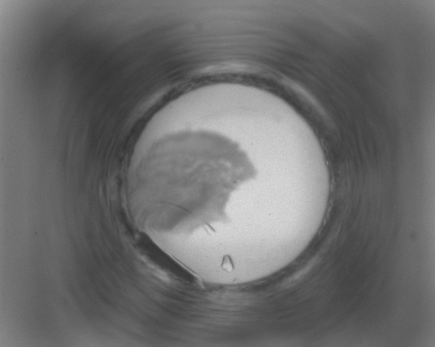 X0000081300921200702082040